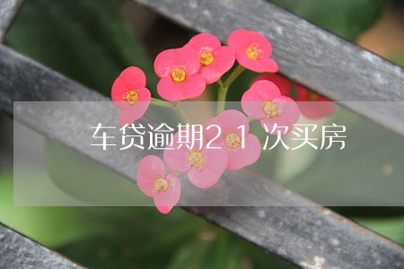 车贷逾期21次买房 车贷逾期21次买房