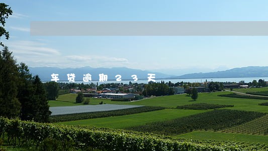 车贷逾期23天 车贷逾期23天