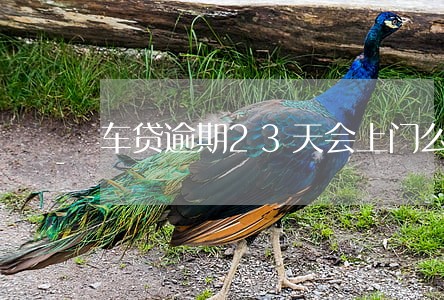 车贷逾期23天会上门么 车贷逾期23天会上门么