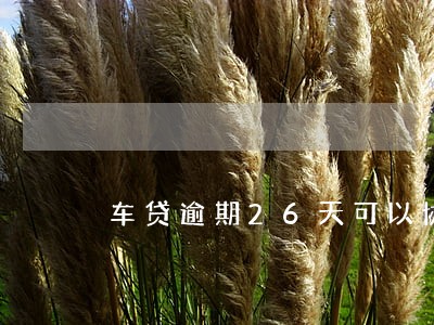 车贷逾期26天可以协商解决吗 车贷逾期26天可以协商解决吗
