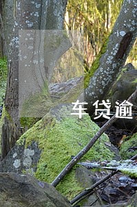 车贷逾期293天 车贷逾期293天