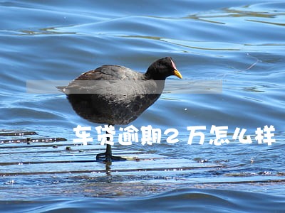 车贷逾期2万怎么样