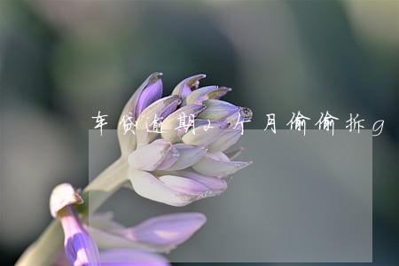 车贷逾期2个月偷偷拆gps 车贷逾期2个月偷偷拆gps