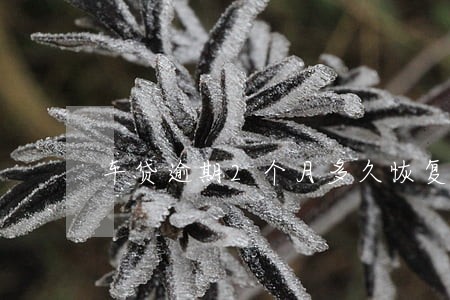 车贷逾期2个月多久恢复 车贷逾期2个月多久恢复