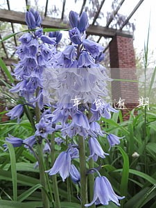 车贷逾期2个月家访了怎么办 车贷逾期2个月家访了怎么办