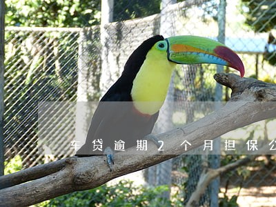 车贷逾期2个月担保公司拖车 车贷逾期2个月担保公司拖车