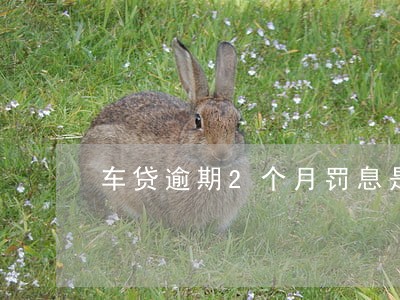 车贷逾期2个月罚息是多少 车贷逾期2个月罚息是多少