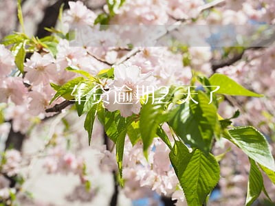 车贷逾期2天了