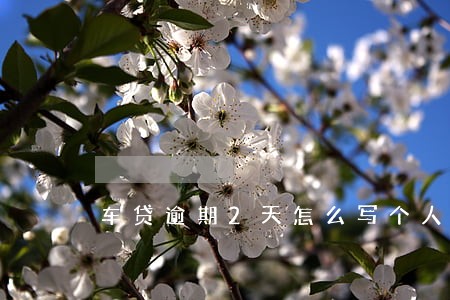 车贷逾期2天怎么写个人声明 车贷逾期2天怎么写个人声明