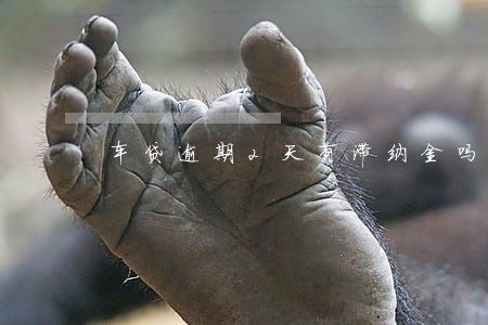 车贷逾期2天有滞纳金吗 车贷逾期2天有滞纳金吗