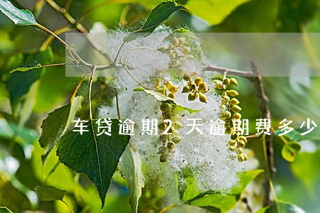车贷逾期2天逾期费多少钱 车贷逾期2天逾期费多少钱