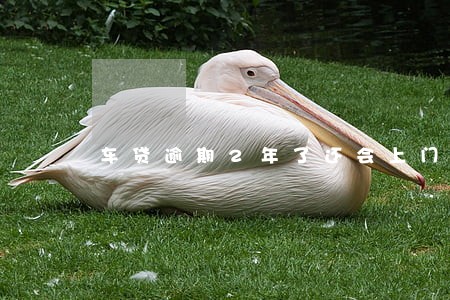 车贷逾期2年了还会上门吗 车贷逾期2年了还会上门吗