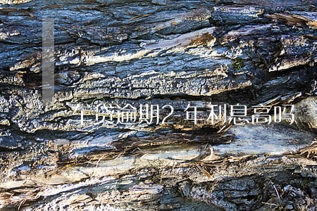 车贷逾期2年利息高吗 车贷逾期2年利息高吗