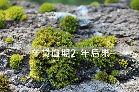 车贷逾期2年后果 车贷逾期2年后果