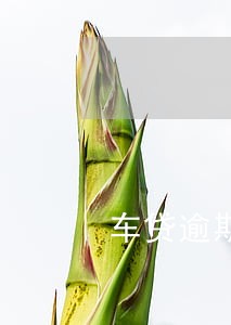 车贷逾期2年后还清有结清证明 车贷逾期2年后还清有结清证明
