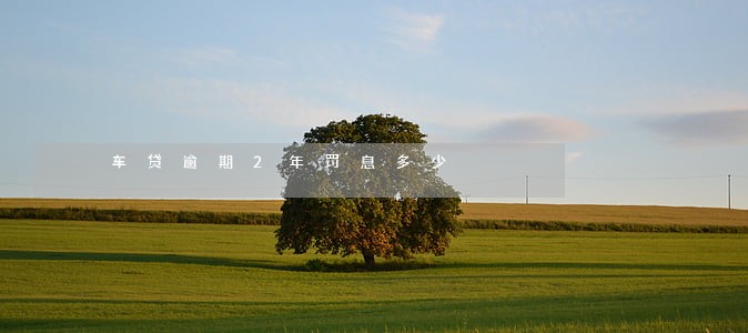 车贷逾期2年罚息多少 车贷逾期2年罚息多少
