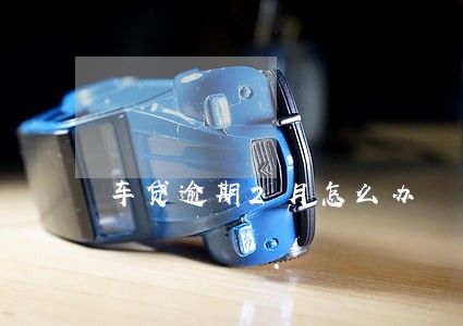 车贷逾期2月怎么办 车贷逾期2月怎么办
