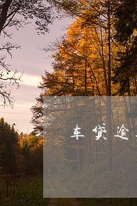 车贷逾期2月被拖车 车贷逾期2月被拖车