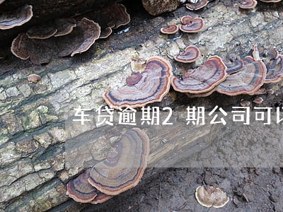 车贷逾期2期公司可以扣车吗 车贷逾期2期公司可以扣车吗