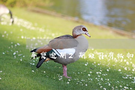车贷逾期2期公司有权扣车吗 车贷逾期2期公司有权扣车吗