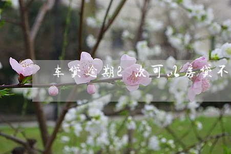 车贷逾期2次可以房贷不 车贷逾期2次可以房贷不