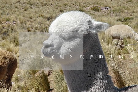 车贷逾期2次影响买房吗 车贷逾期2次影响买房吗
