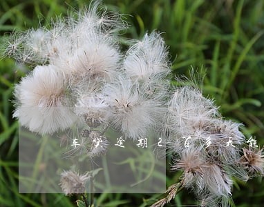 车贷逾期2百多天能上法律告吗 车贷逾期2百多天能上法律告吗