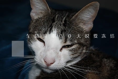 车贷逾期30天说要冻结账户 车贷逾期30天说要冻结账户