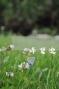 车贷逾期35天违法吗 车贷逾期35天违法吗
