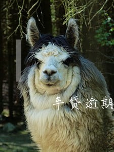 车贷逾期36天征信有影响吗 车贷逾期36天征信有影响吗