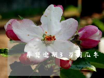 车贷逾期3万判几年 车贷逾期3万判几年