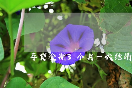 车贷逾期3个月一次结清违约金 车贷逾期3个月一次结清违约金