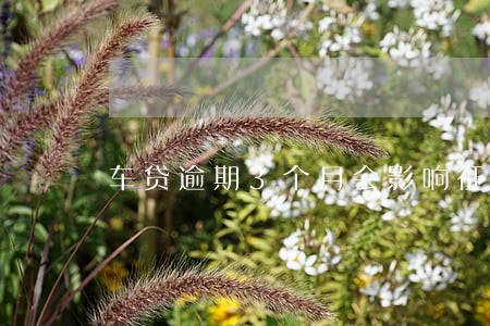 车贷逾期3个月会影响征信吗 车贷逾期3个月会影响征信吗