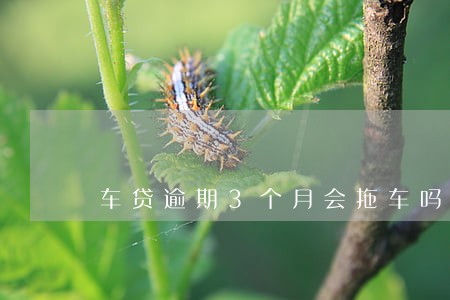 车贷逾期3个月会拖车吗 车贷逾期3个月会拖车吗