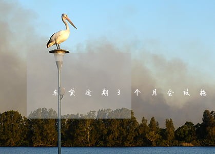 车贷逾期3个月会被拖车吗