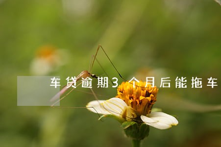 车贷逾期3个月后能拖车吗 车贷逾期3个月后能拖车吗