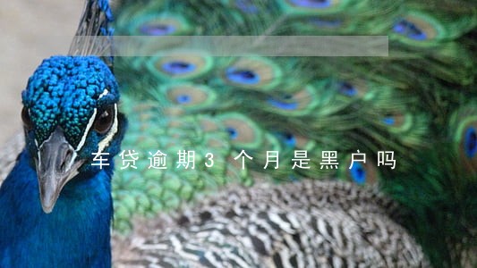车贷逾期3个月是黑户吗