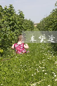 车贷逾期3个月还能买房嘛