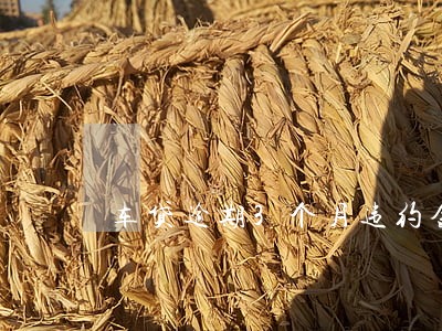 车贷逾期3个月违约金怎么办 车贷逾期3个月违约金怎么办