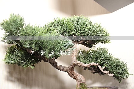车贷逾期3天与7天有区别吗 车贷逾期3天与7天有区别吗