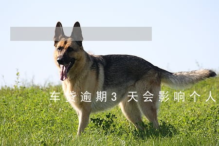 车贷逾期3天会影响个人征信吗 车贷逾期3天会影响个人征信吗