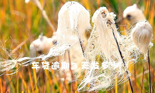 车贷逾期3天发多少 车贷逾期3天发多少