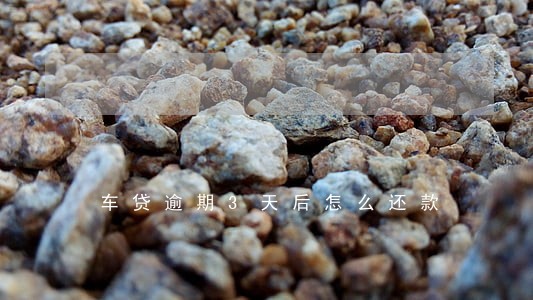 车贷逾期3天后怎么还款