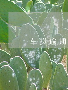 车贷逾期3天影响买房贷款吗 车贷逾期3天影响买房贷款吗