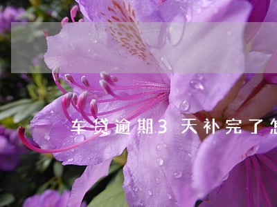 车贷逾期3天补完了怎么没扣 车贷逾期3天补完了怎么没扣