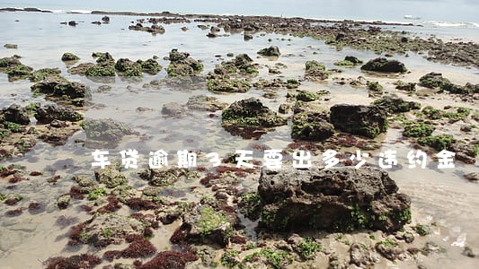 车贷逾期3天要出多少违约金 车贷逾期3天要出多少违约金