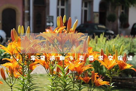 车贷逾期3天要求交保证金 车贷逾期3天要求交保证金