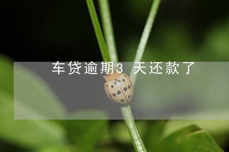 车贷逾期3天还款了 车贷逾期3天还款了