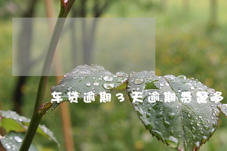 车贷逾期3天逾期费是多少 车贷逾期3天逾期费是多少