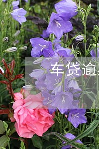 车贷逾期3年了不来拖车 车贷逾期3年了不来拖车